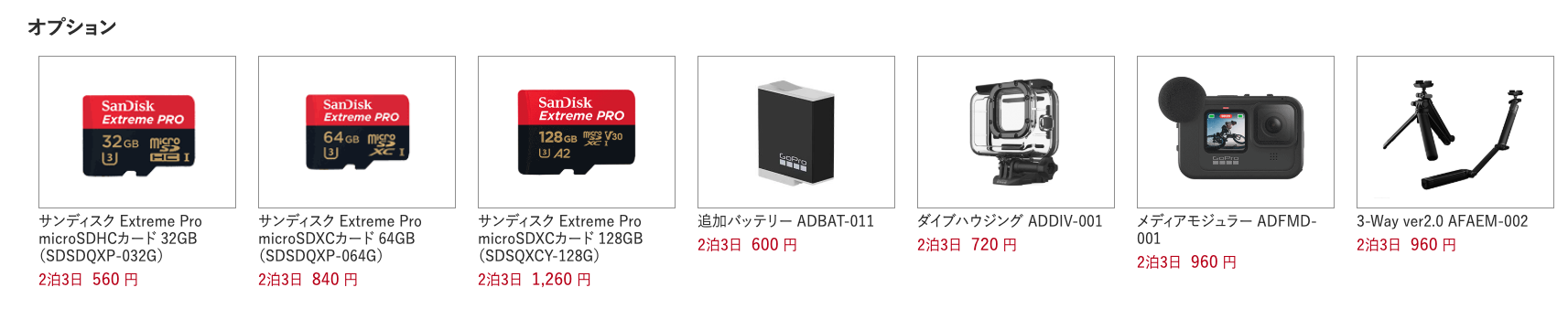 APES RENTALS GoPro オプション